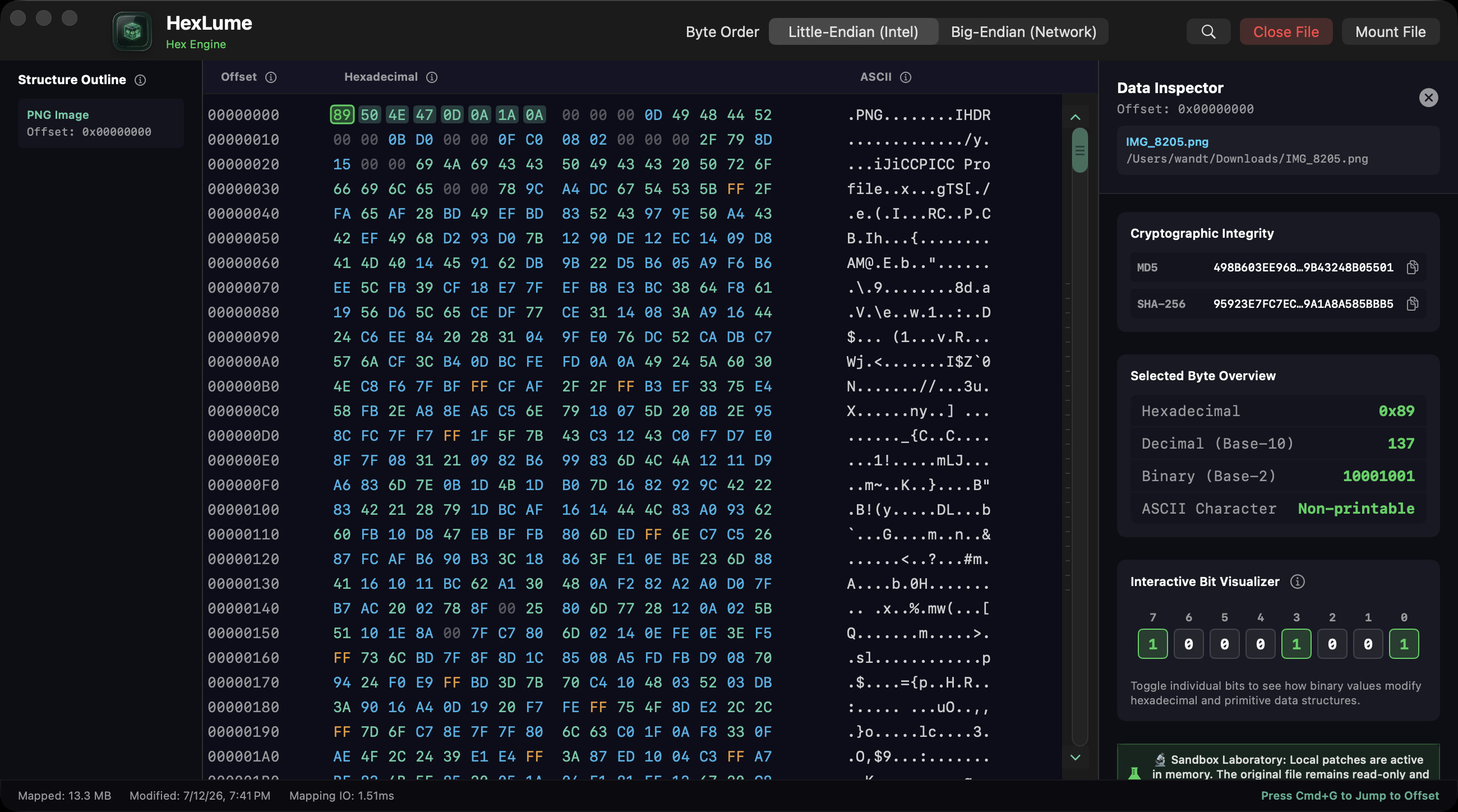 HexLume hex viewer with mnemonic heatmap, Data Inspector, cryptographic hashes and Interactive Bit Visualizer